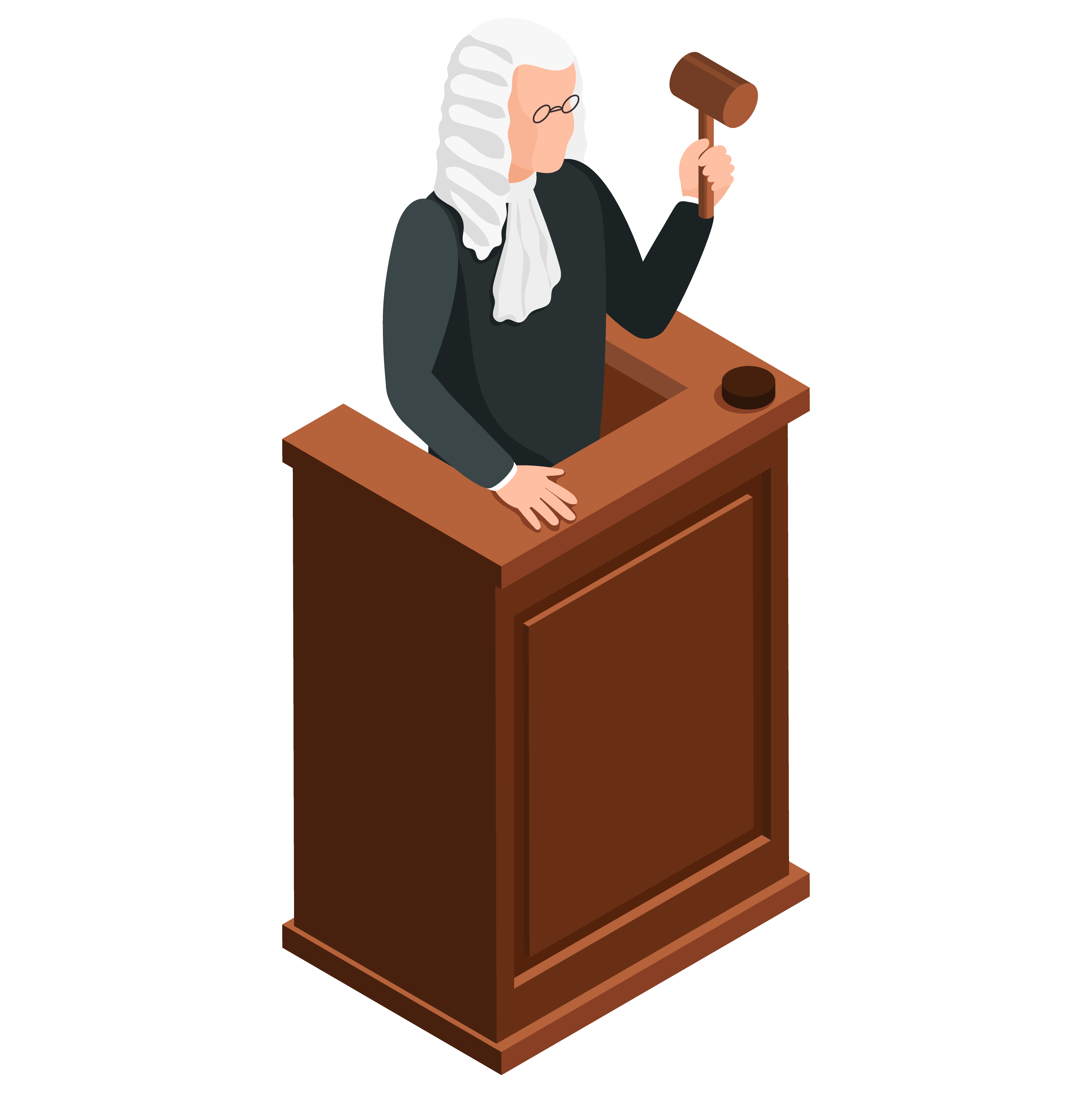 ALCANCEDEPROYECTOS_juez